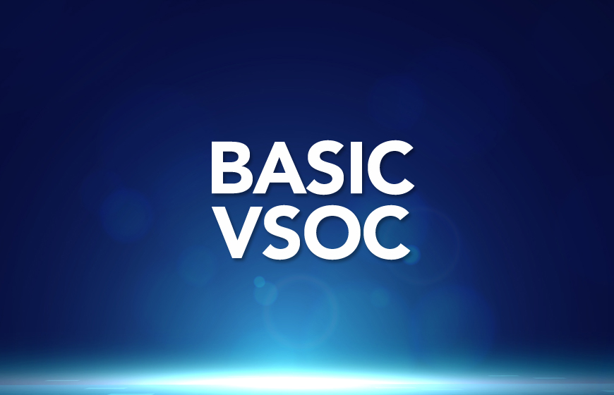 MVSS Basic Level - VsOC