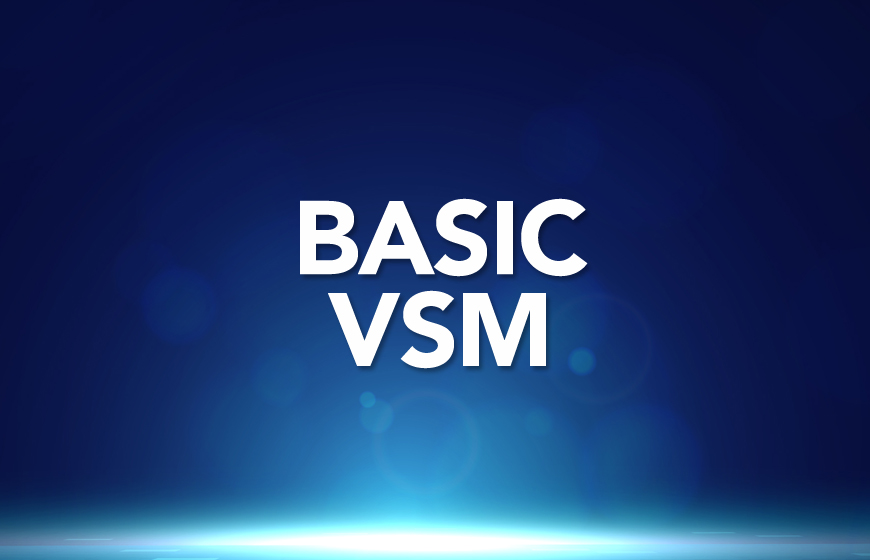 MVSS Basic Level - VsM