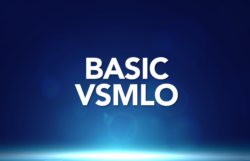 MVSS Basic Level - VsMLO 