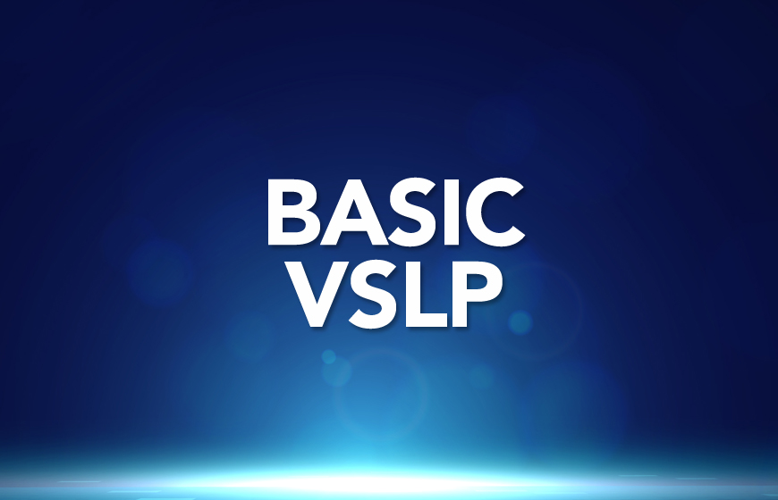 MVSS Basic Level - VsLP 