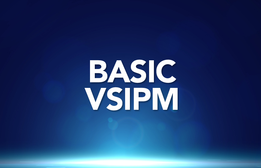 MVSS Basic Level - VsIPM 