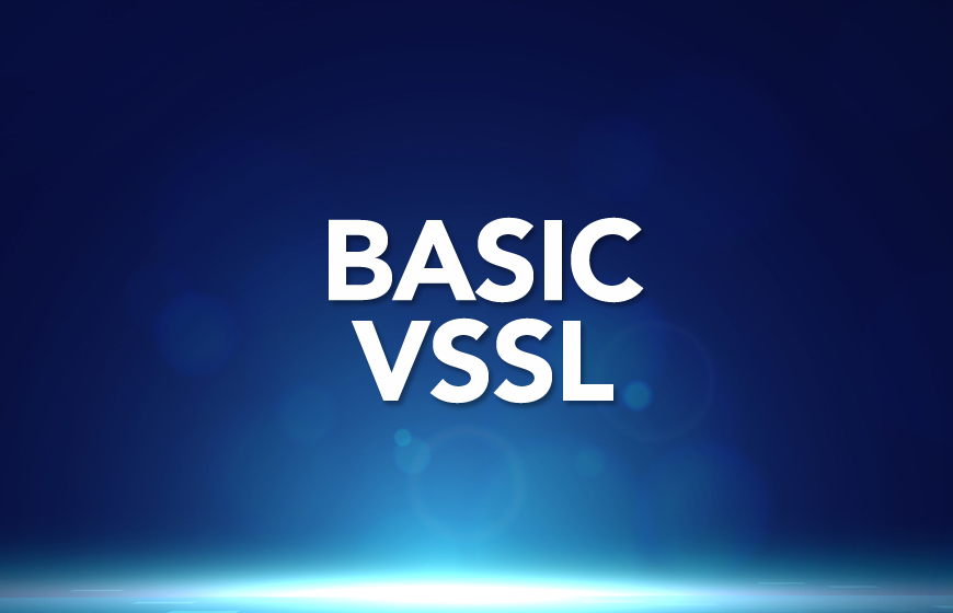 MVSS Basic Level - VsSL 