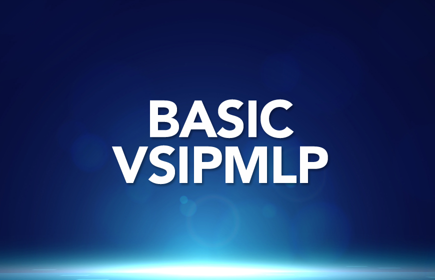 MVSS Basic Level - VsIPMLP