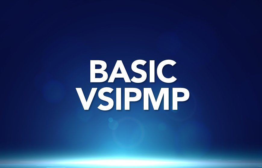 MVSS Basic Level - VsIPMP