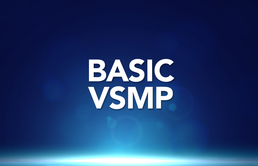 MVSS Basic Level - VsMP